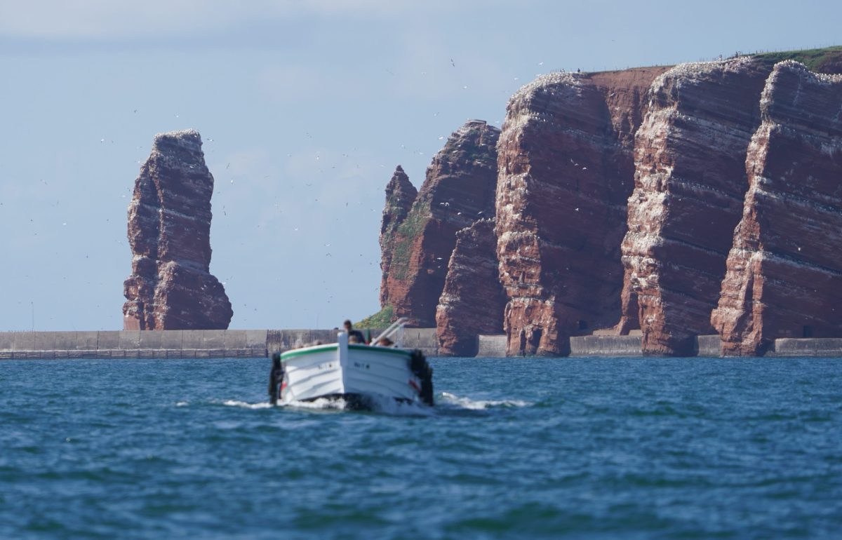 Lummenfelsen HElgoland