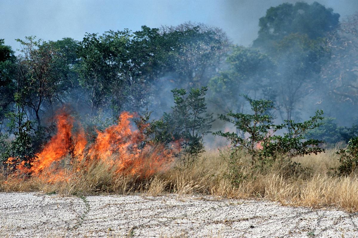 Usedom Brand