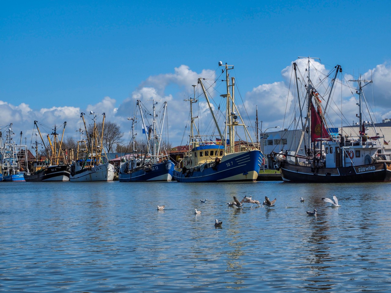 Fischerboote in Büsum.