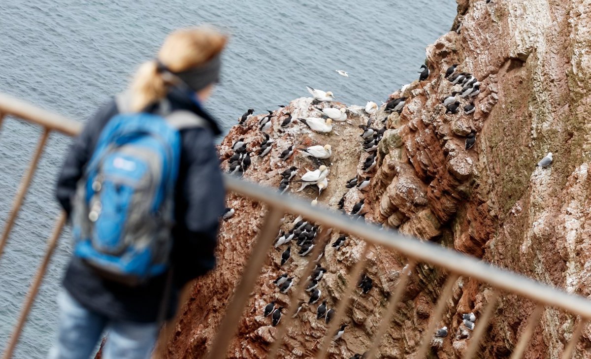 Helgoland.jpg