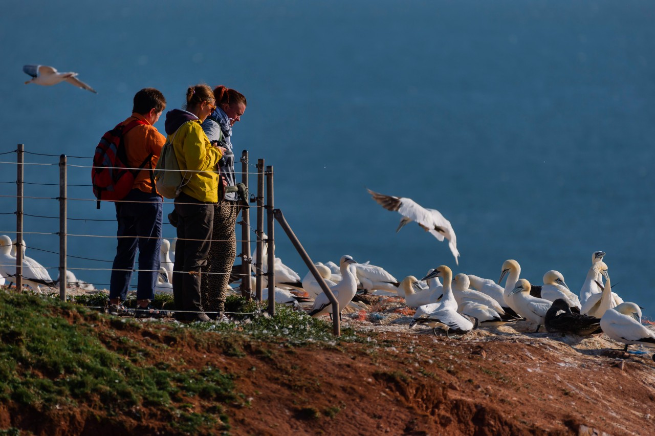 Urlauber an der Nordsee (Symbolfoto). Urlauber an der Nordsee (Symbolfoto).
