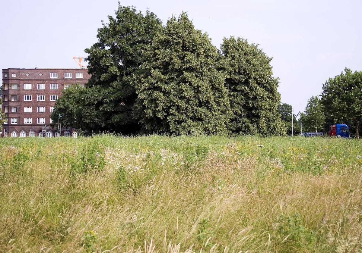 Rothenburgsort Hamburg.jpg