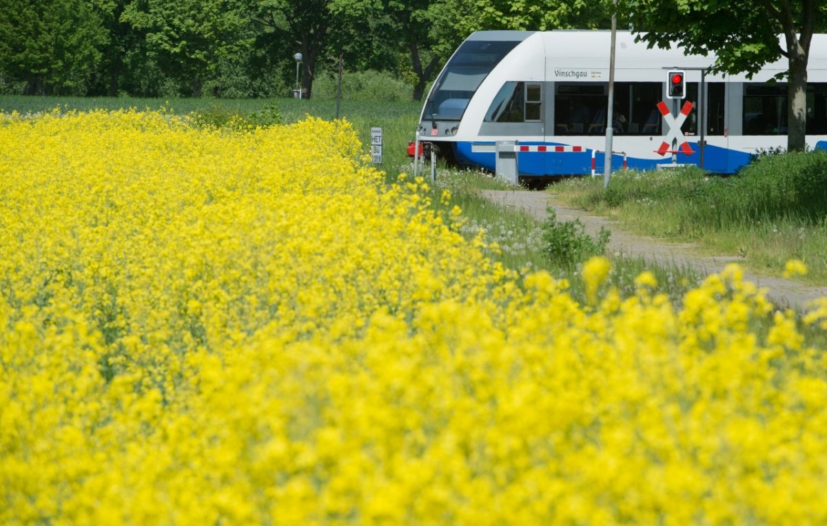 Usedom Bäderbahn.jpg