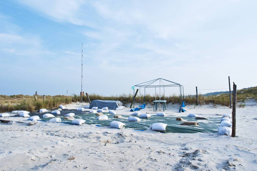 Leerer Stellplatz an der Ostsee