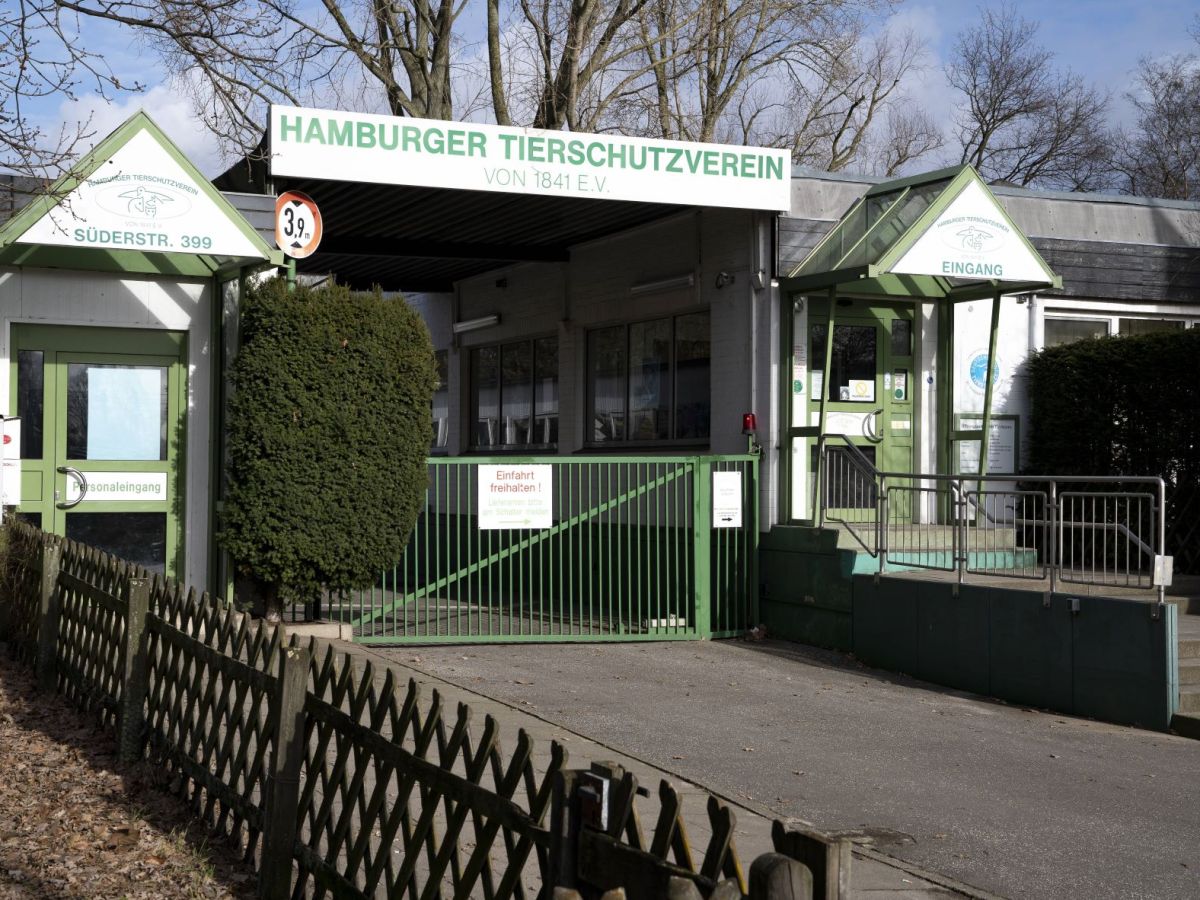 Tierheim Hamburg