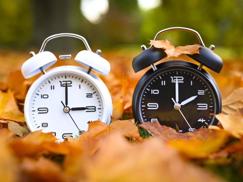 Zwei Uhren auf Blätterboden