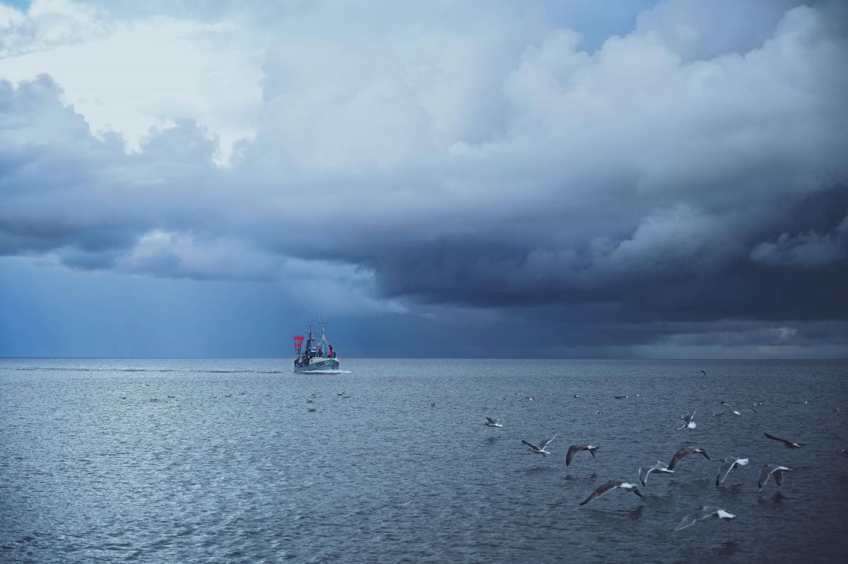 Nordsee und Ostsee
