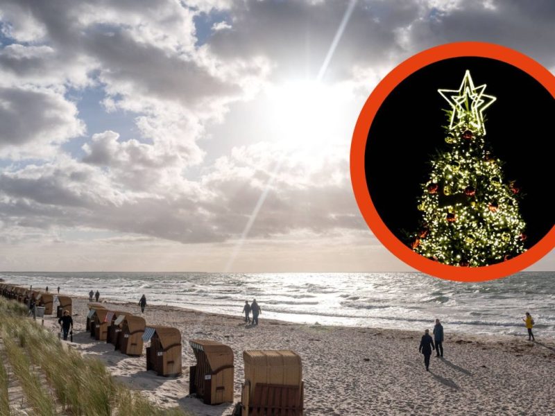 Ostsee: Riesen-Weihnachtsbaum steht am Strand – was Menschen dort angebracht haben, rührt zu Tränen