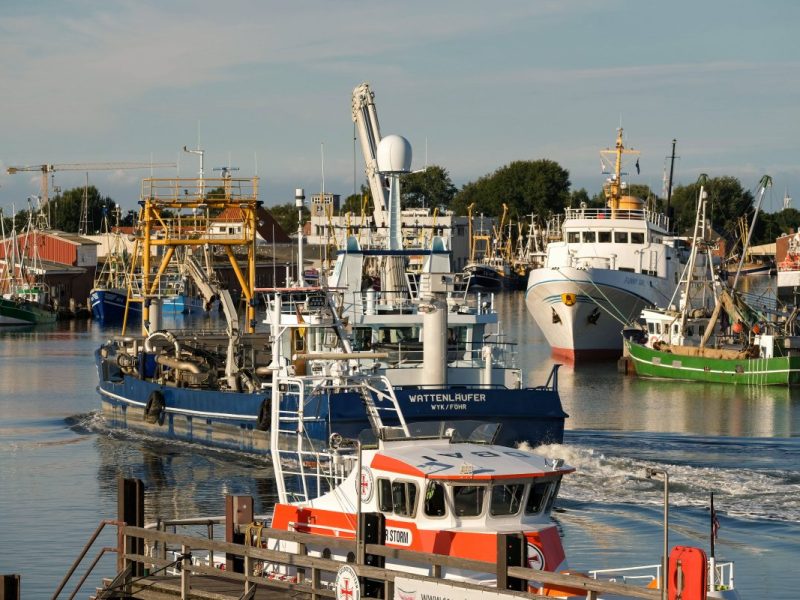 Nordsee: „Lady von Büsum“ ist jetzt HIER zuhause – Fans schäumen vor Wut