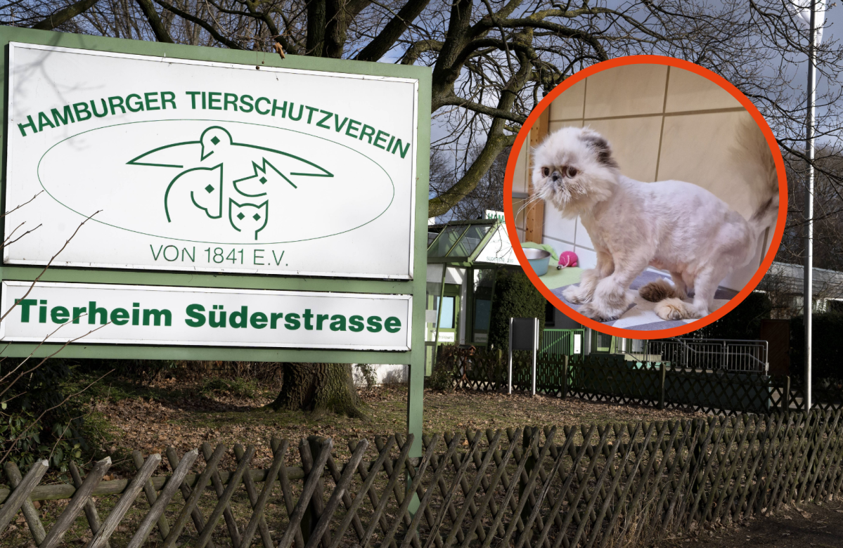 Tierschutzverein Hamburg