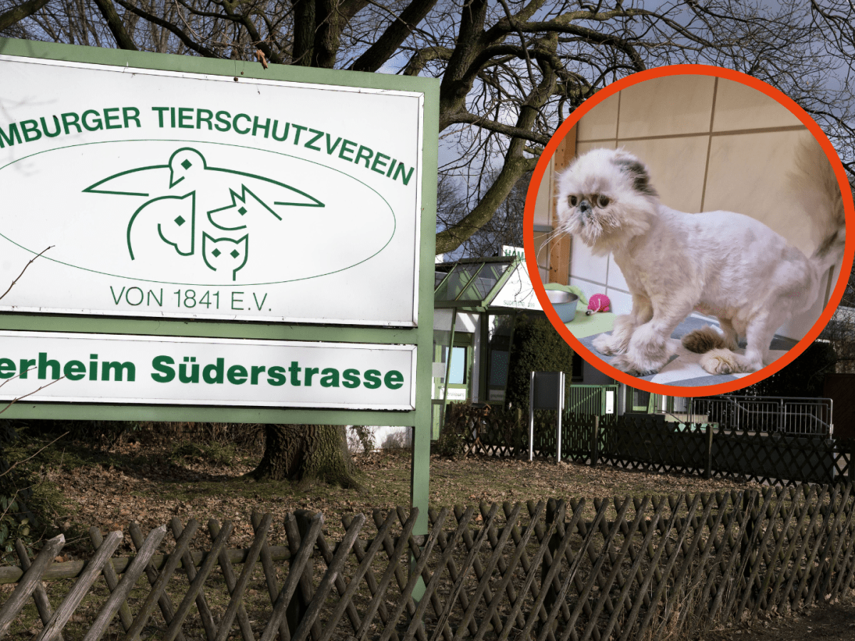 Tierschutzverein Hamburg