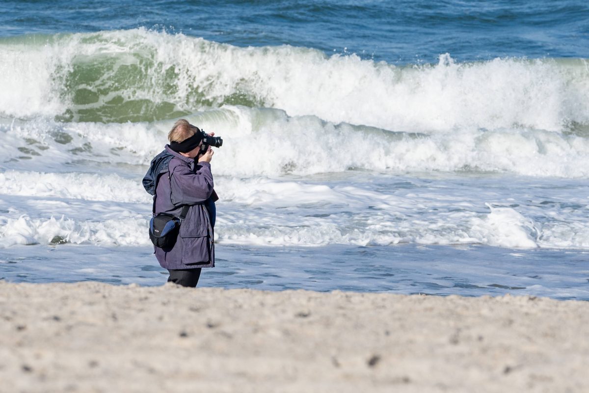 Sylt