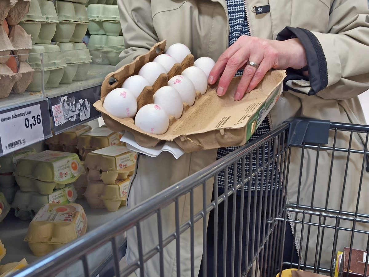 Der Discounter Lidl versieht ein Produkt mit einer bestimmten Kennzeichnung. Kunden wissen beim Eier-Kauf nicht direkt, was es damit auf sich hat.