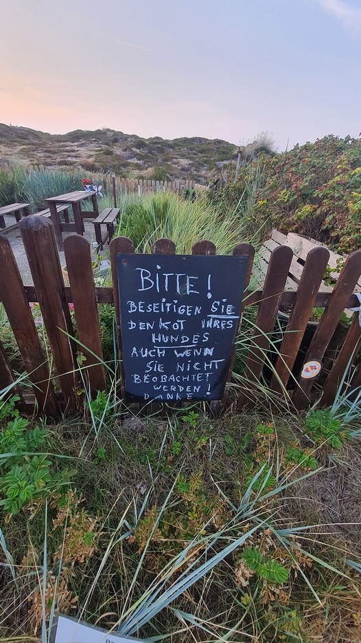 Dieses Schild auf der Nordsee-Insel Sylt soll Hundebesitzer zur Vernunft bringen.