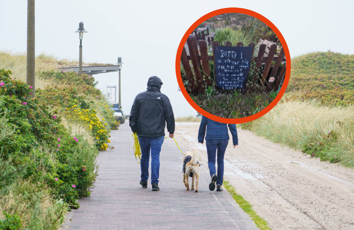 Die Nordsee-Insel Sylt hat ein Problem mit dem Verhalten mancher Hundebesitzer.