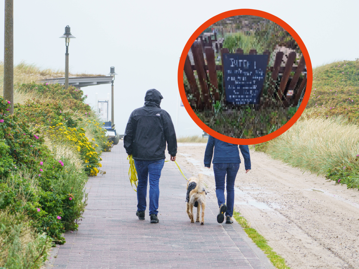 Die Nordsee-Insel Sylt hat ein Problem mit dem Verhalten mancher Hundebesitzer.