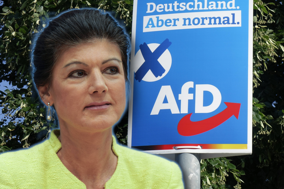 Wagenknecht und die AfD: Ein Bündnis der Zukunft?