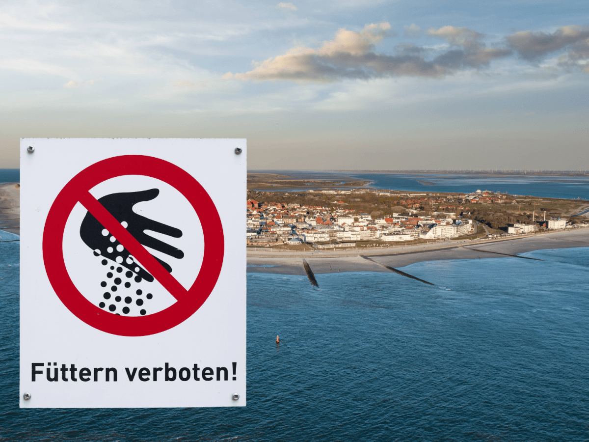 Diese Tiere erobern die Insel Norderney.