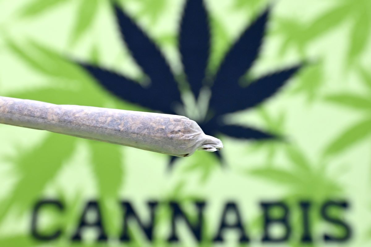 Wie geht es jetzt mit dem Cannabis-Gesetz weiter?