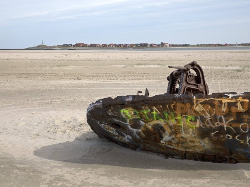 Norderney: 350-Kilo-Fisch am Strand aufgetaucht – was er frisst, ist übel