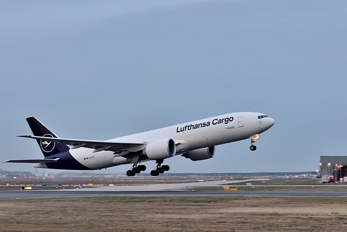 Lufthansa hat sich angeboten, Elefanten nach Deutschland zu transportieren.