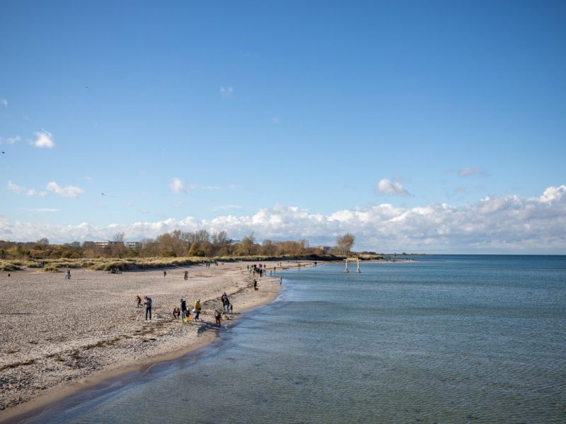 Ostsee: Was hier gestohlen wird, macht fassungslos – „Nichts ist mehr sicher“