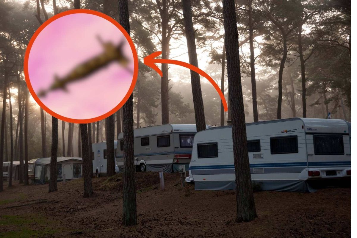 Camping Beliebter OstseePlatz schlimme Geschichte steckt dahinter moin.de