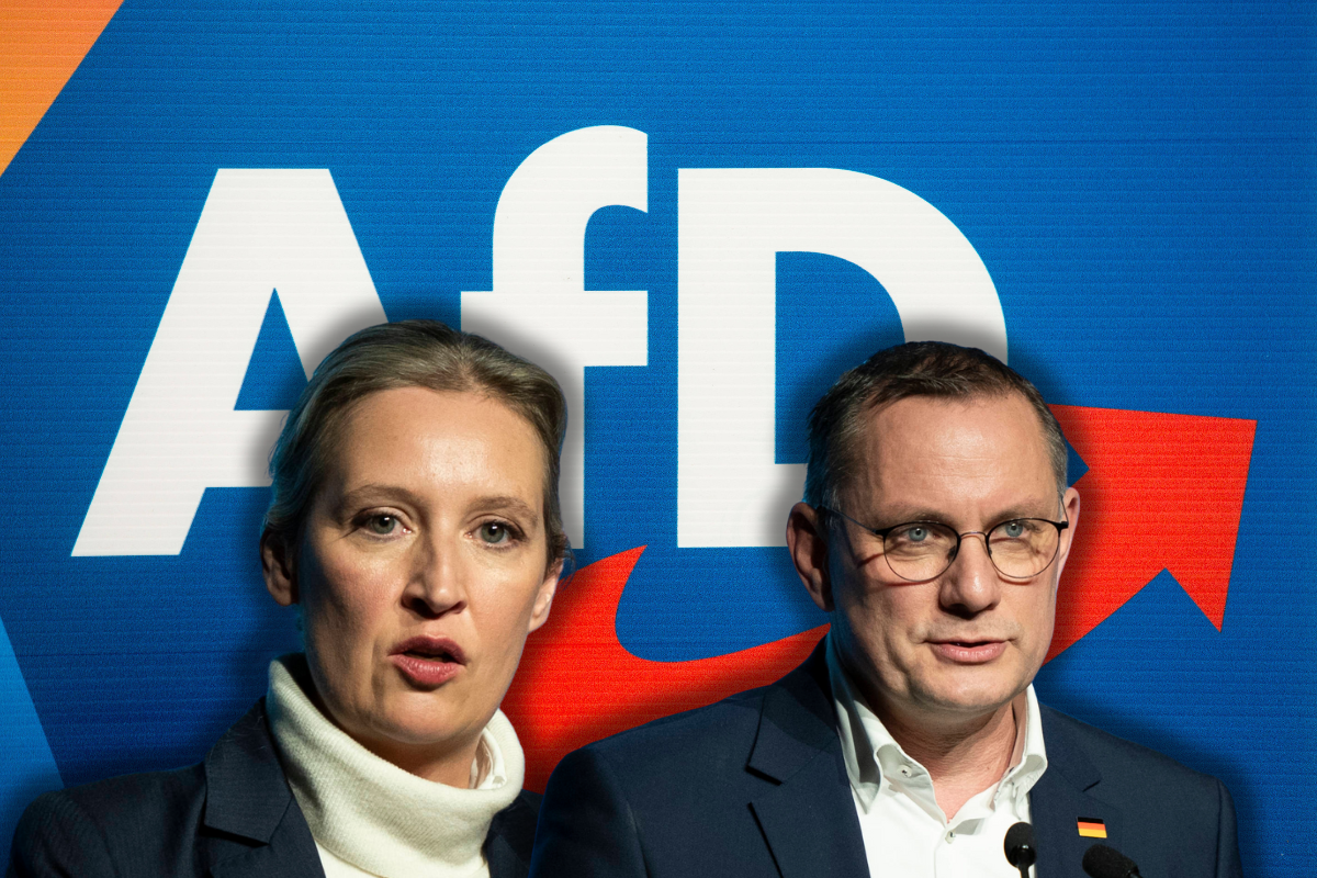 Alle Entwicklungen der AfD zur Bundestagswahl.