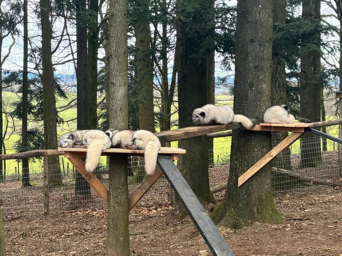 Zoo im Norden
