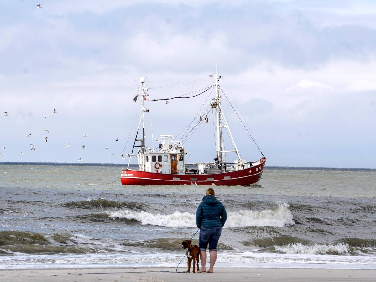 Frau mit Hund am Strand