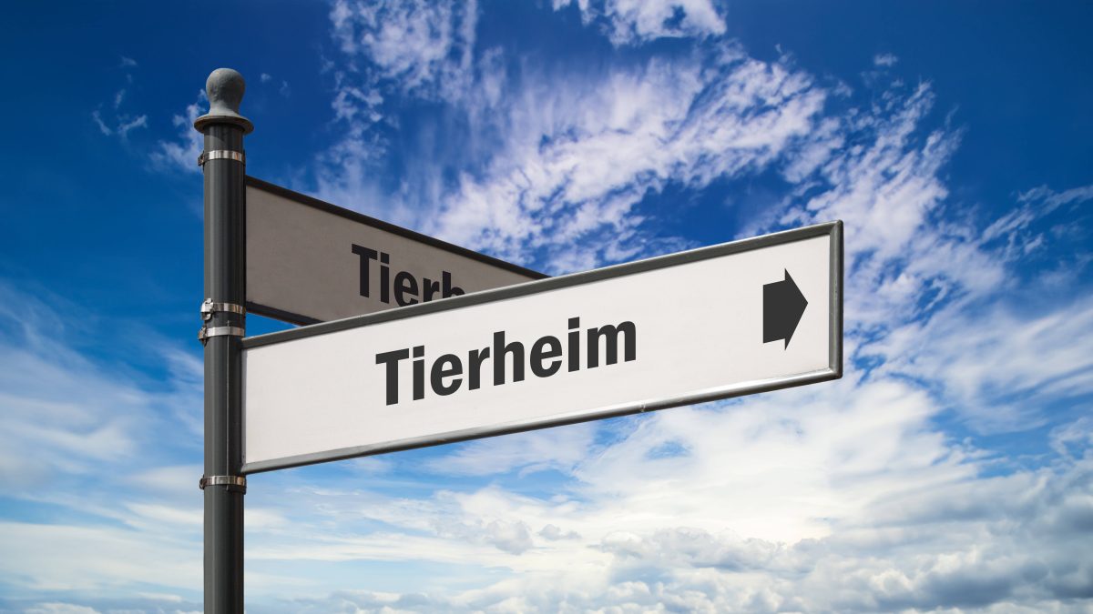 Tierheim im Norden, Symbolbild