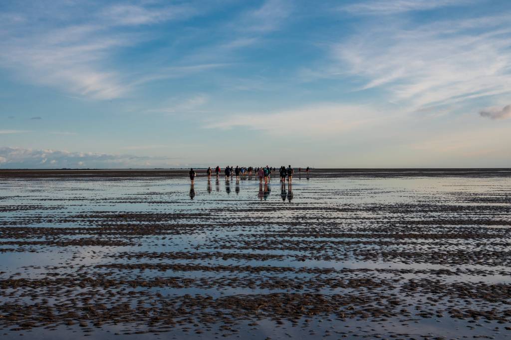 Wattenmeer