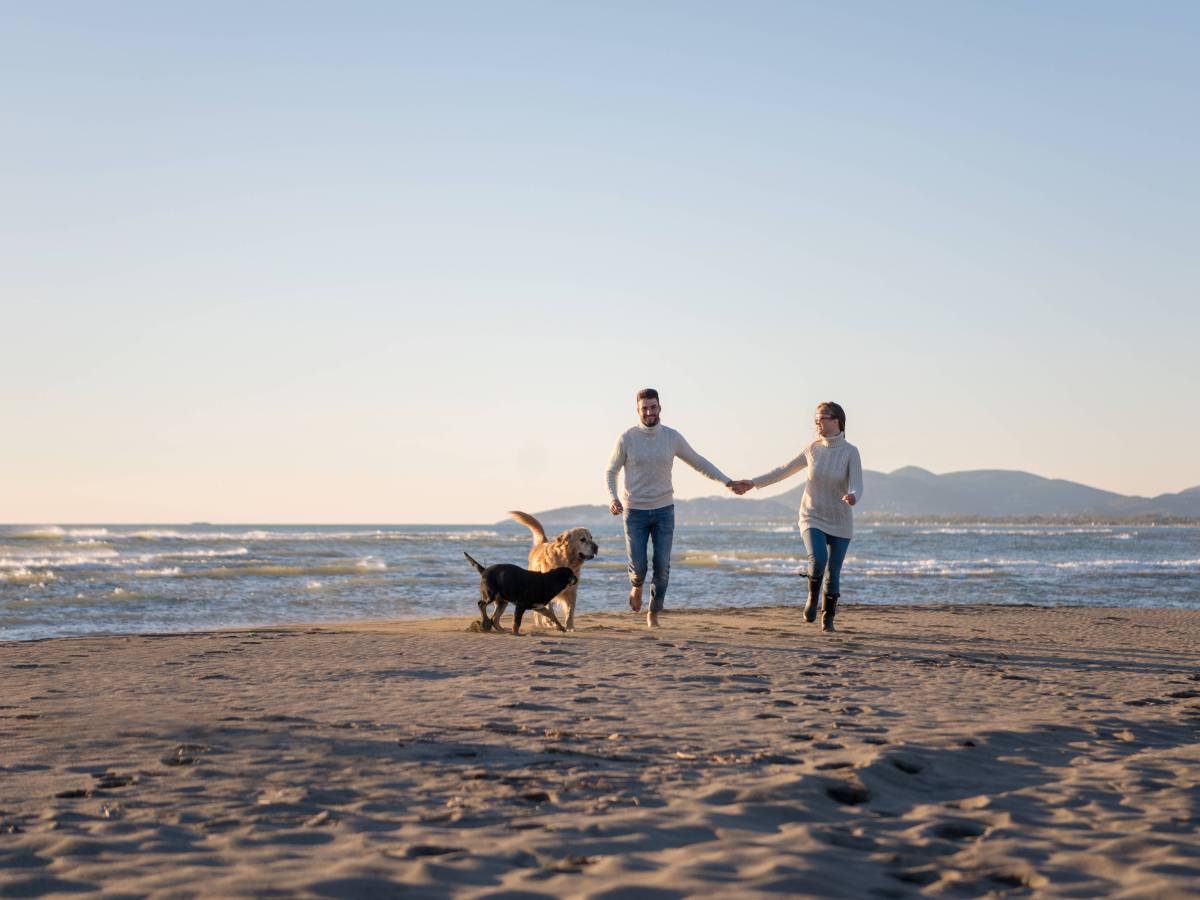 Pärchen am Strand mit Hunden