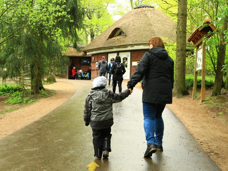 Zoo im Norden begrüßt neue Tiere! Besucher werden ihren Augen kaum trauen