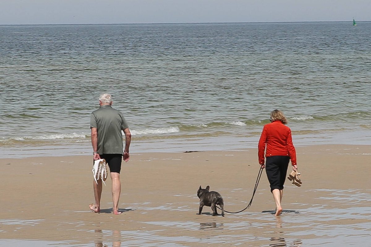 Gibt es bald eine Hunde-Kurtaxe auf Sylt?