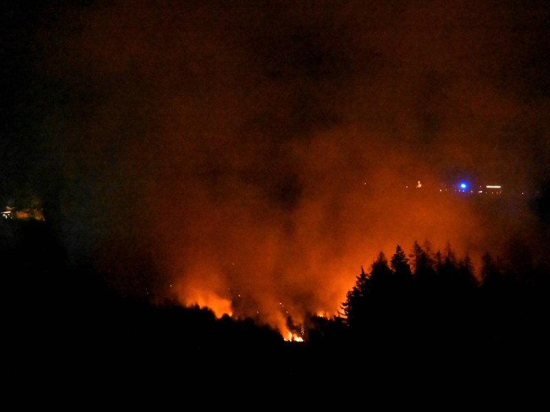 Wetter im Norden: Experten schlagen Alarm – „erhöhte Waldbrandgefahr“!