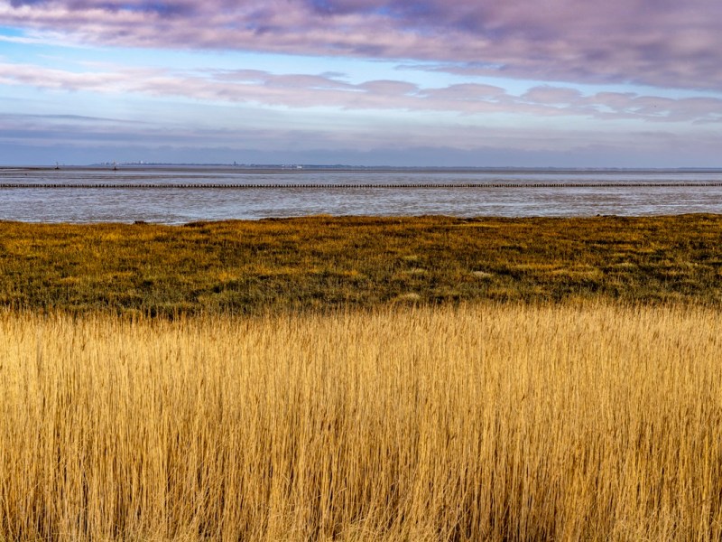 Norderney: Hat die Insel ausgedient? Urlauber haben bereits eine Alternative