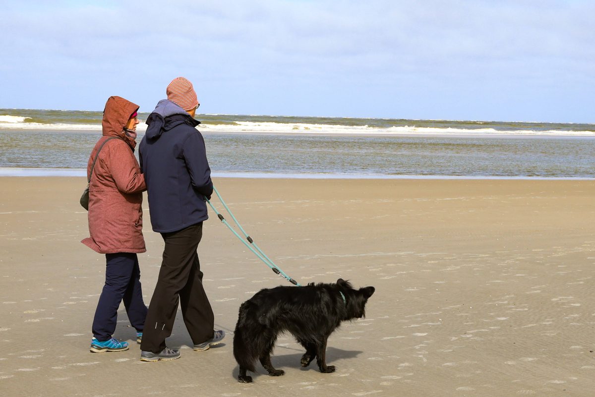 Spaziergänger mit ihrem Hund am Strand, Symbolbild