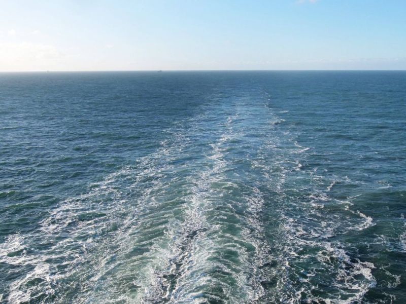 Kreuzfahrt: Paar am Hafen zurückgelassen – plötzlich gibt es laute Schreie an Bord