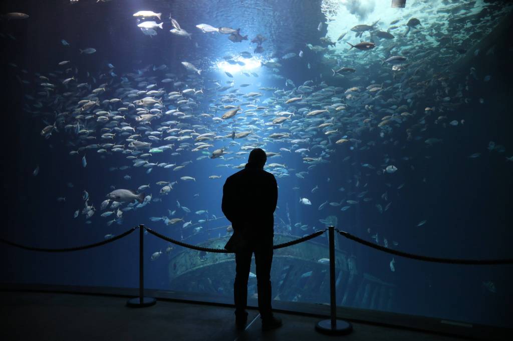 Mann steht vor Aquarium