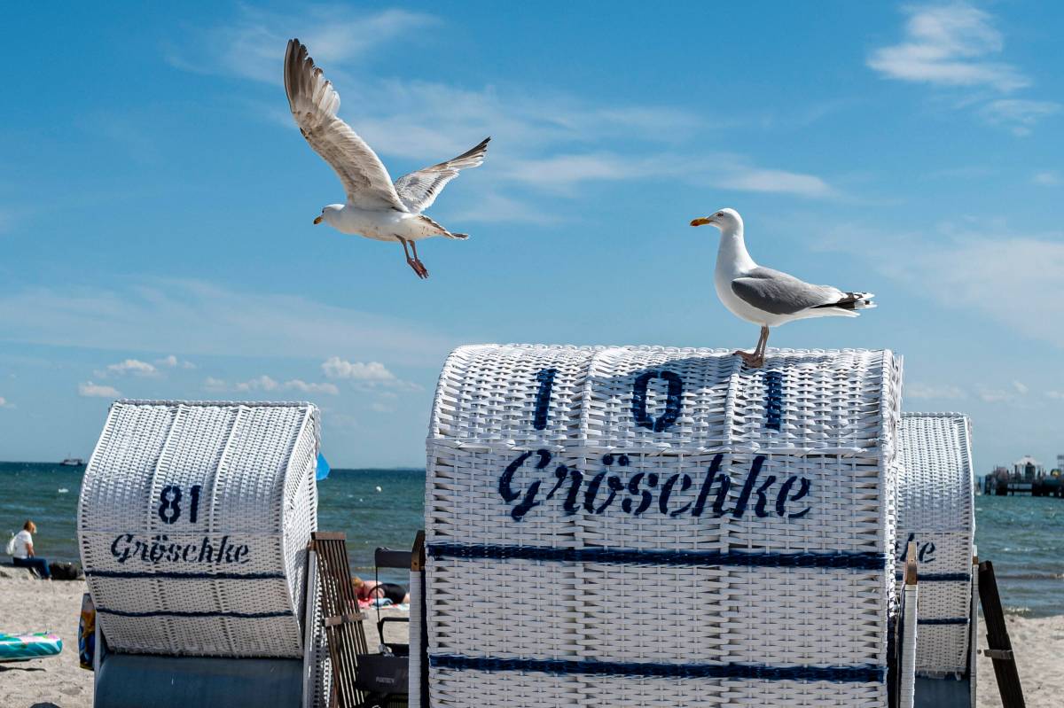 Strandkörbe mit Möwen