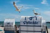 Strandkörbe mit Möwen