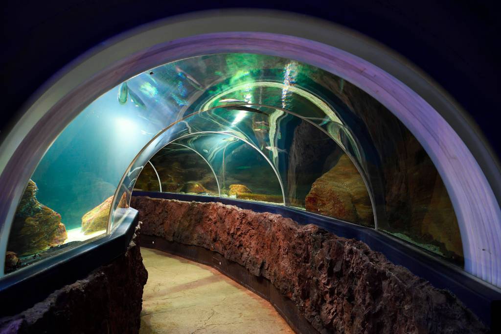 Unterwasser-Tunnel im Aquarium