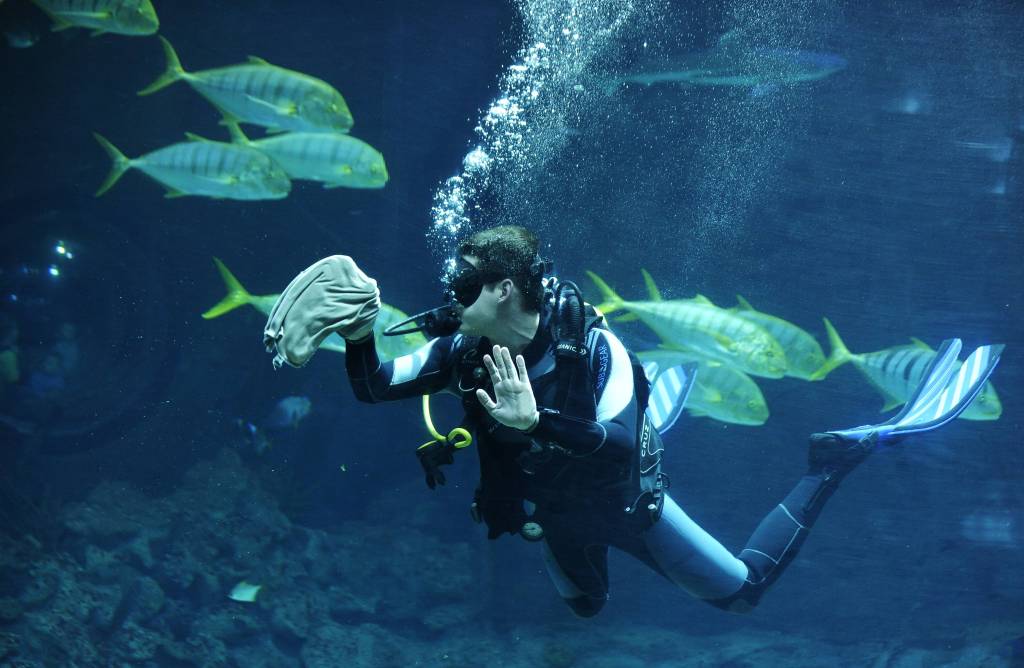 Taucher in Aquariumbecken