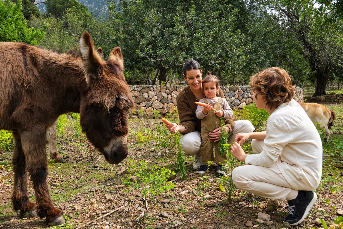 Zoo-im-Norden-Besucher-trauern-Todesfall-trifft-den-Tierpark-mitten-ins-Herz