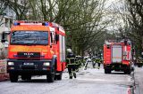 Brand in einem Zoo im Norden (Symbolbild)
