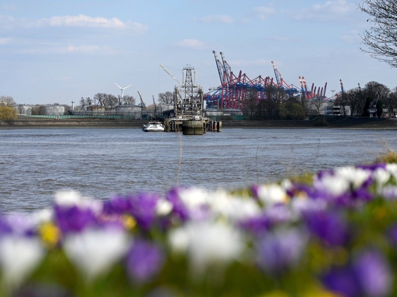 Hamburg: Ein letzter Ausflug an die Elbe – „An den Tag werde ich noch lange denken“