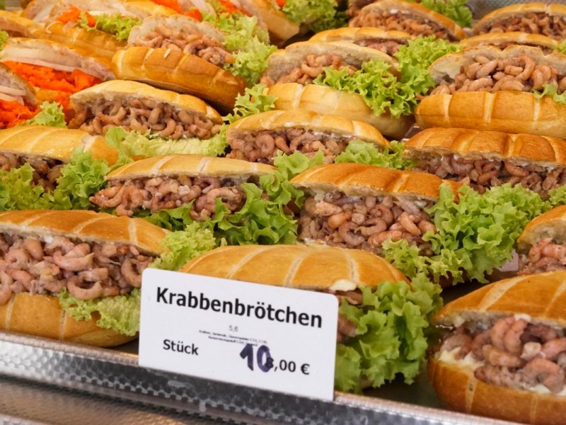 Nordsee: Krabben-Kollaps – Experte sagt, was Fischer wirklich tun! „Wieder reingeworfen“