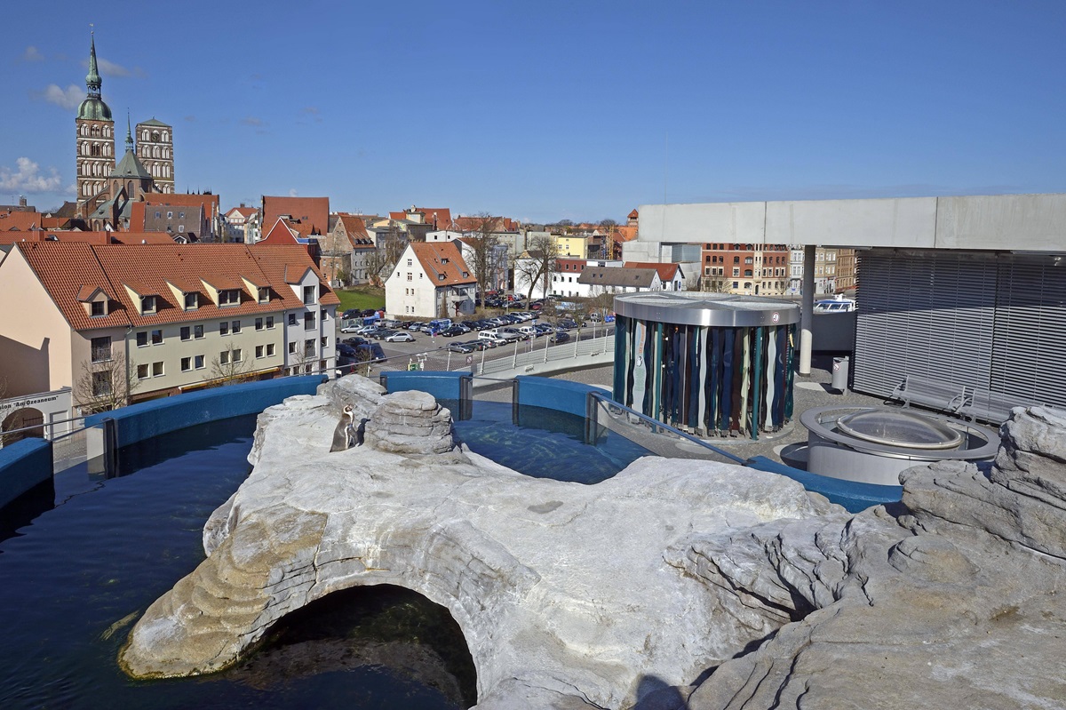 Zoo-im-Norden-Tierbaby-Sensation-Nachwuchs-ist-weltweite-Seltenheit