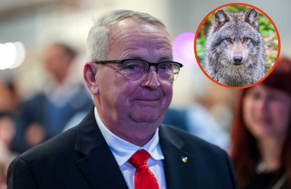 Politiker Till Backhaus (Collage).